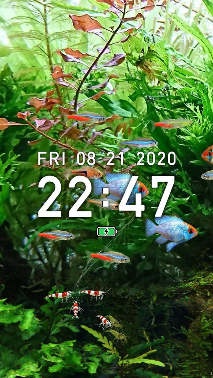 Tropical Fish Tank - Mini Aqua  Screenshot 4