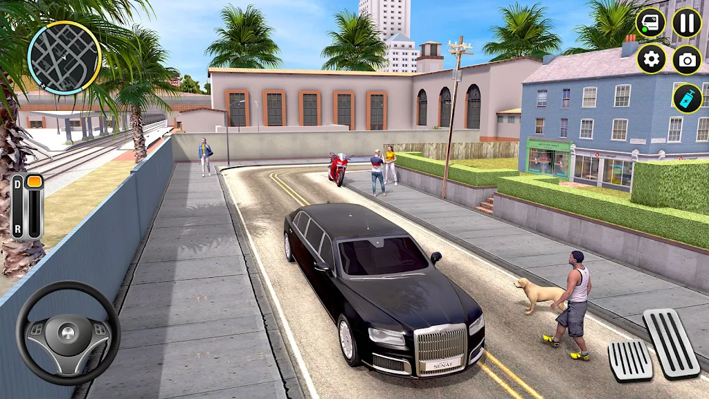 Limousine Parking:Limo Taxi 3D  Screenshot 4