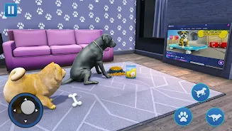 Dog Sim Pet Simulator Dog Life  Screenshot 1