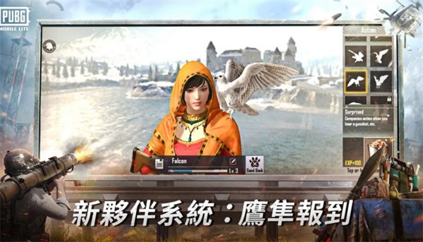 绝地求生轻量国际服试玩版 Screenshot 3