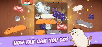 Haru Cats: Cute Sliding Puzzle  Screenshot 4