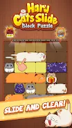 Haru Cats: Cute Sliding Puzzle  Screenshot 6