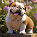 Bull Dog Simulator APK