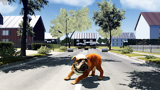 Bull Dog Simulator  Screenshot 3