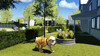 Bull Dog Simulator  Screenshot 8