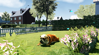 Bull Dog Simulator  Screenshot 1