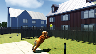 Bull Dog Simulator  Screenshot 6