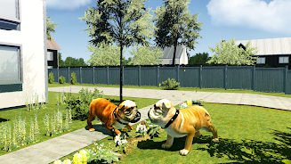 Bull Dog Simulator  Screenshot 4