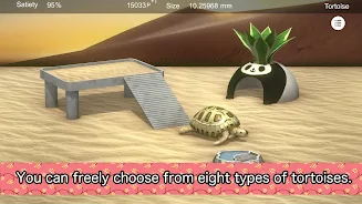 Tortoise to grow relaxedly  Screenshot 2