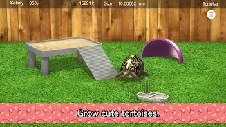 Tortoise to grow relaxedly  Screenshot 1