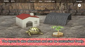 Tortoise to grow relaxedly  Screenshot 3