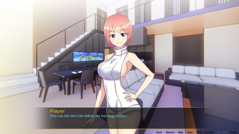 Waifu's Mission vol. 2 (Full version)  Screenshot 1