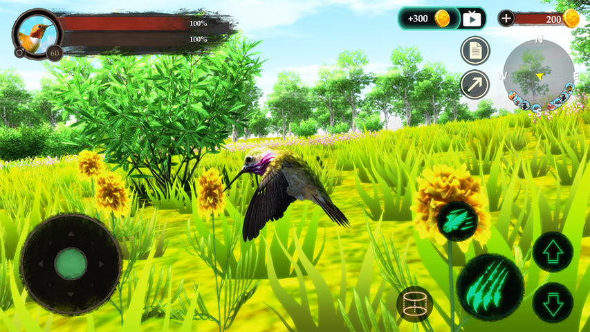 The Hummingbird  Screenshot 4