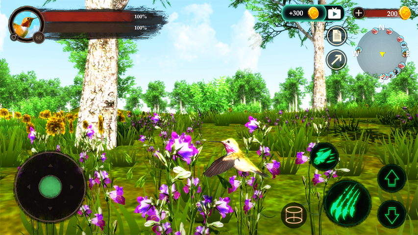 The Hummingbird  Screenshot 2