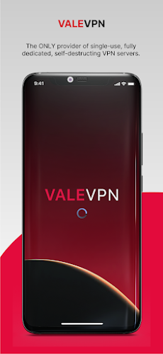 ValeVPN The Single-Use VPN  Screenshot 1