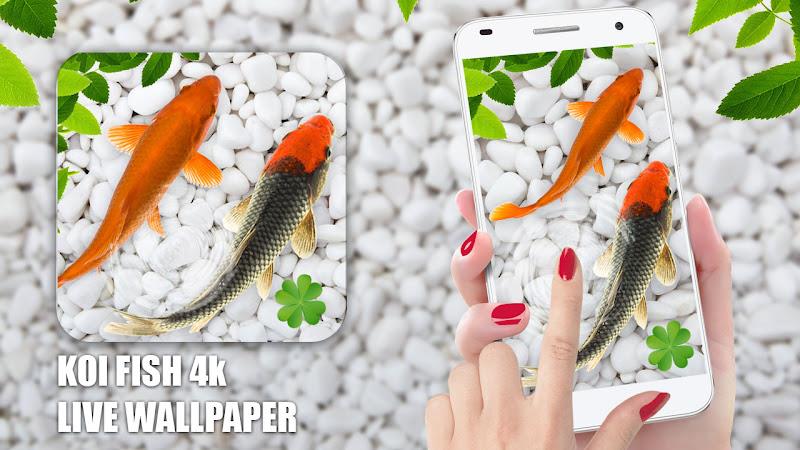 4k Koi Fish Live Wallpapers 3D  Screenshot 5