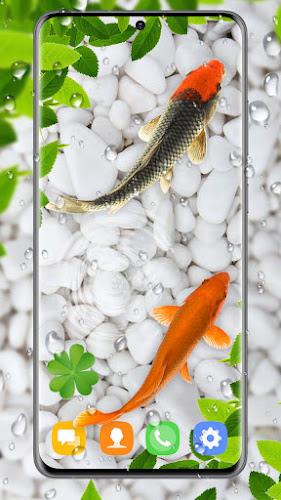 4k Koi Fish Live Wallpapers 3D  Screenshot 4