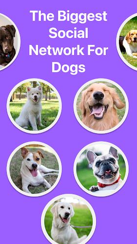 Pawmates: The Dog Meetup App  Screenshot 1