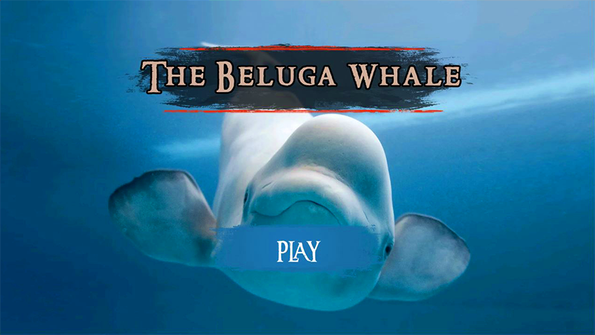 The Beluga Whale  Screenshot 3