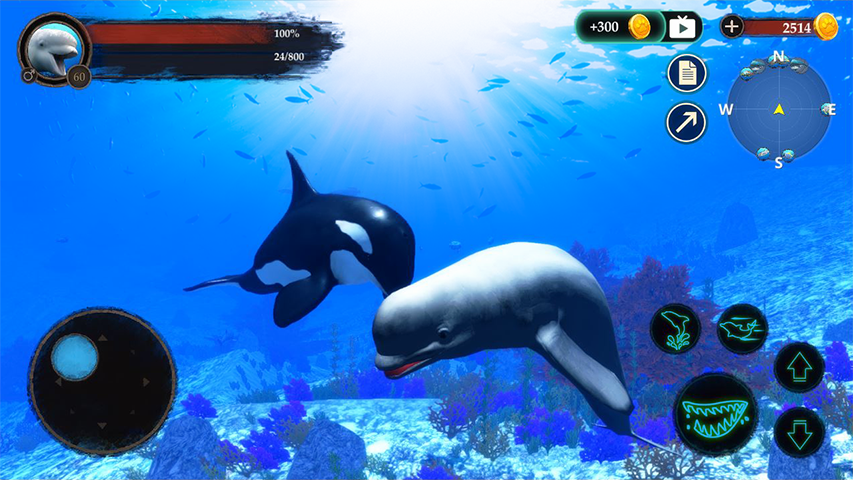 The Beluga Whale  Screenshot 1