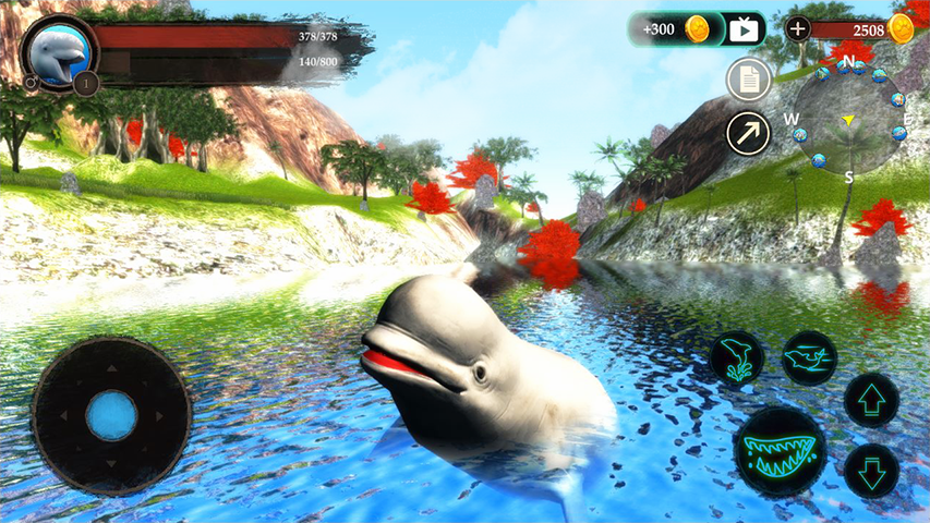 The Beluga Whale  Screenshot 4