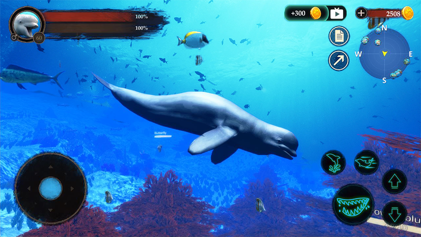 The Beluga Whale  Screenshot 2