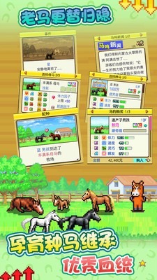 赛马牧场物语 Screenshot 2