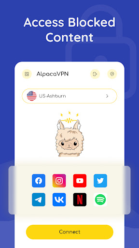 Alpaca VPN proxy master  Screenshot 3