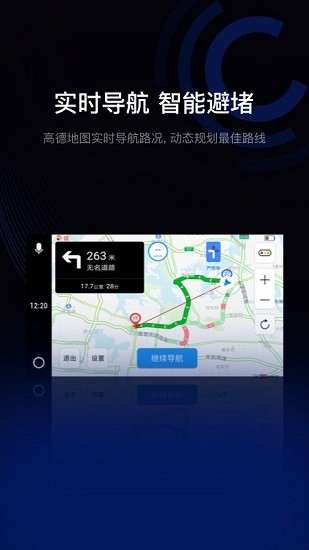 驾驶伴侣 Screenshot 2