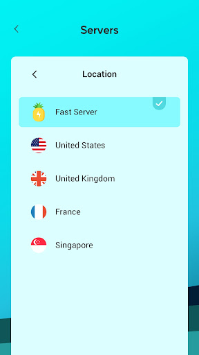 Pineapple VPN  Screenshot 2