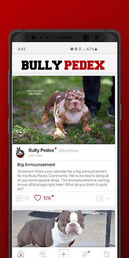 Bully Pedex Bully Board  Screenshot 1