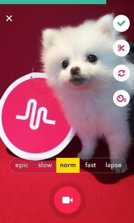 musical.ly lite  Screenshot 1