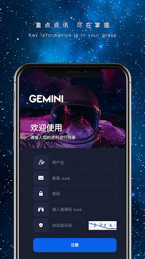 GeminiVPN  Screenshot 3