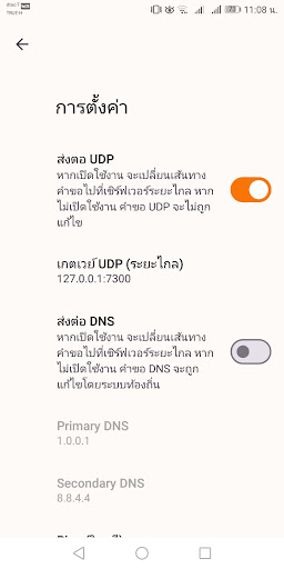 Plakad VPN  Screenshot 2