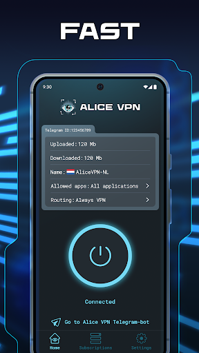 Alice VPN  Screenshot 1