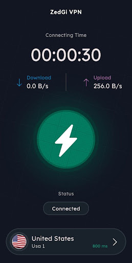 ZedGi vpn - secure connections  Screenshot 1