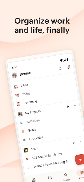 Todoist: to-do list & planner Mod  Screenshot 1