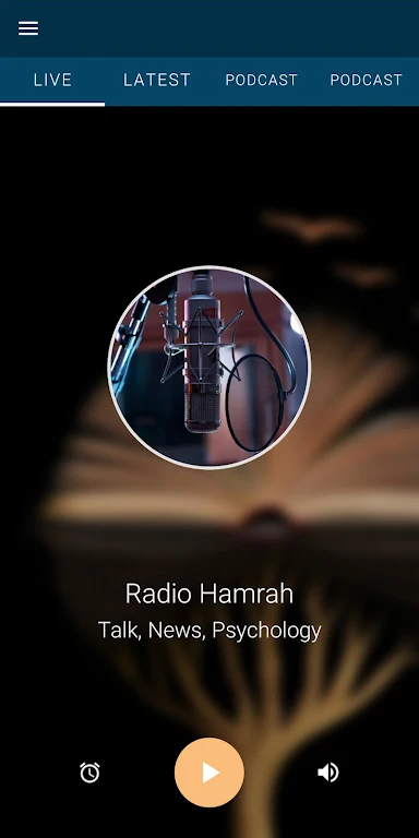 رادیو همراه - Radio Hamrah  Screenshot 2