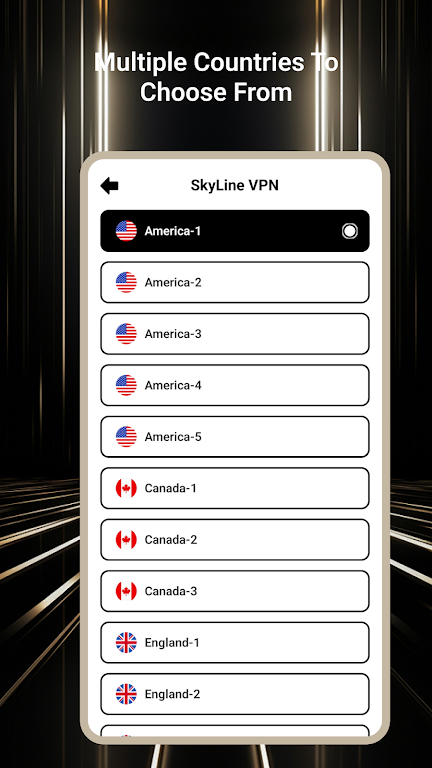 SkyLink VPN  Screenshot 4