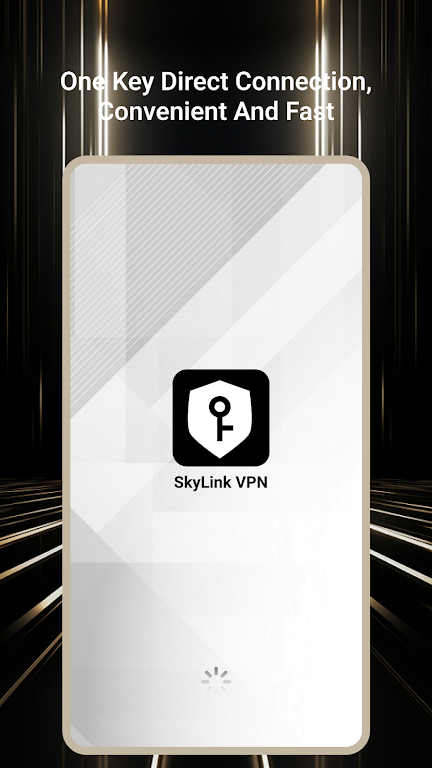 SkyLink VPN  Screenshot 2