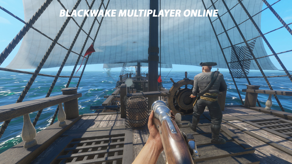 Blackwake Multiplayer Sims 3D  Screenshot 2