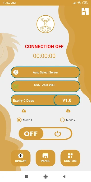 Rubel VIP VPN  Screenshot 2