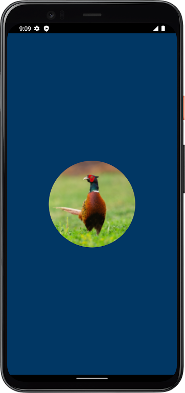 Pheasant Sounds  Screenshot 1