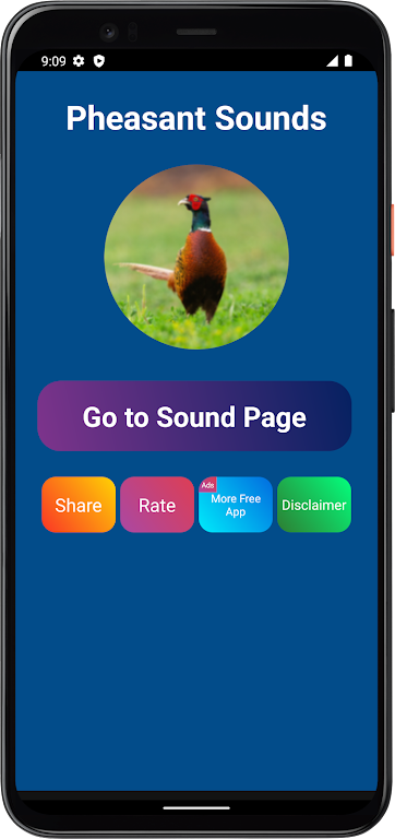 Pheasant Sounds  Screenshot 2