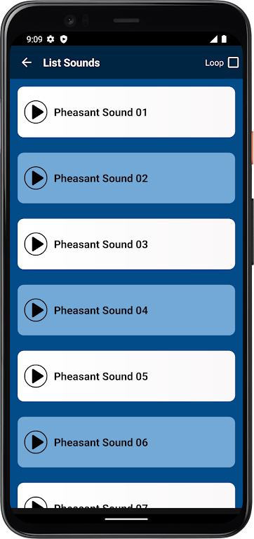 Pheasant Sounds  Screenshot 3