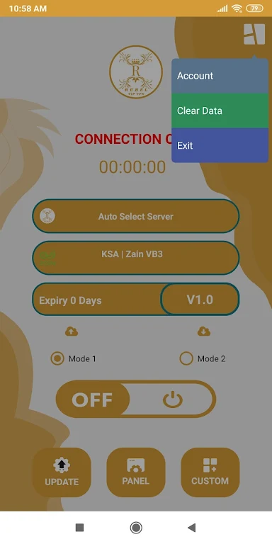 Rubel VIP VPN  Screenshot 3