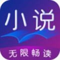 盛世小说 APK