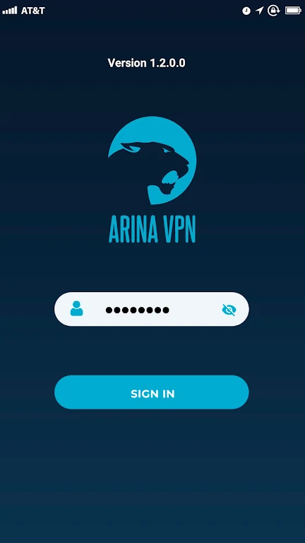 ARINA VPN  Screenshot 2