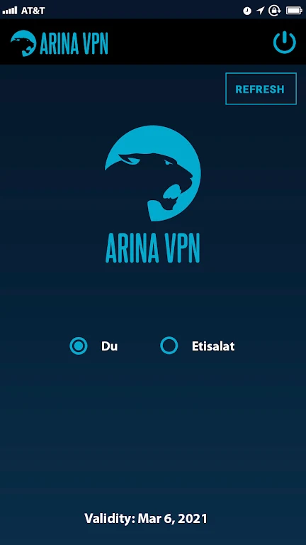 ARINA VPN  Screenshot 3