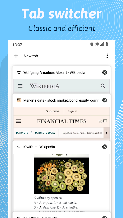 Kiwi Browser  Screenshot 2